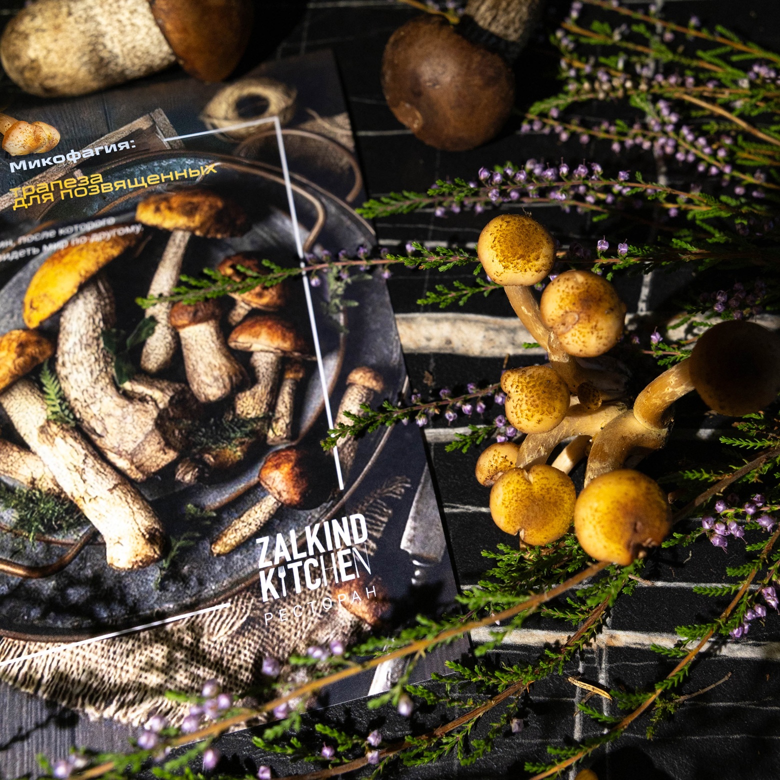 Кто тут в микофаги крайний?