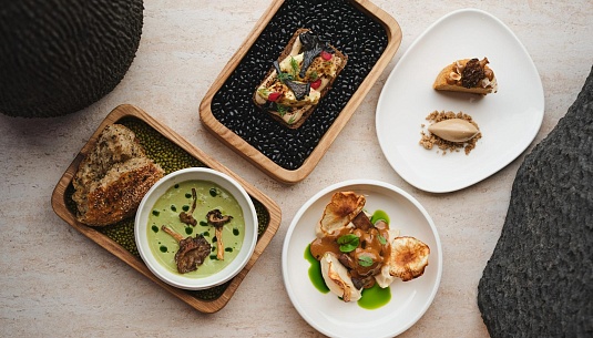 «Я из лесу вышел...»